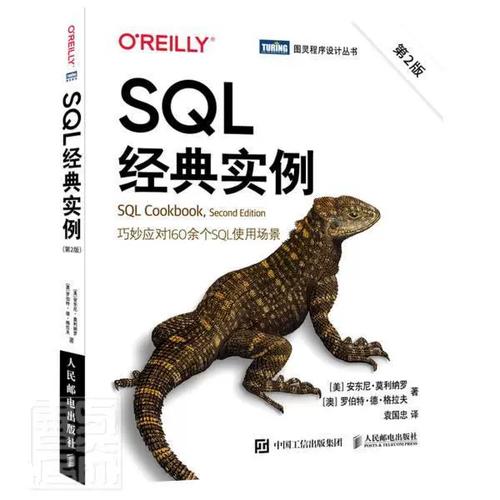 程序设计丛书安东尼&middot;莫利纳罗澳罗伯特&middot;德&middot;书店计算机与网络书籍